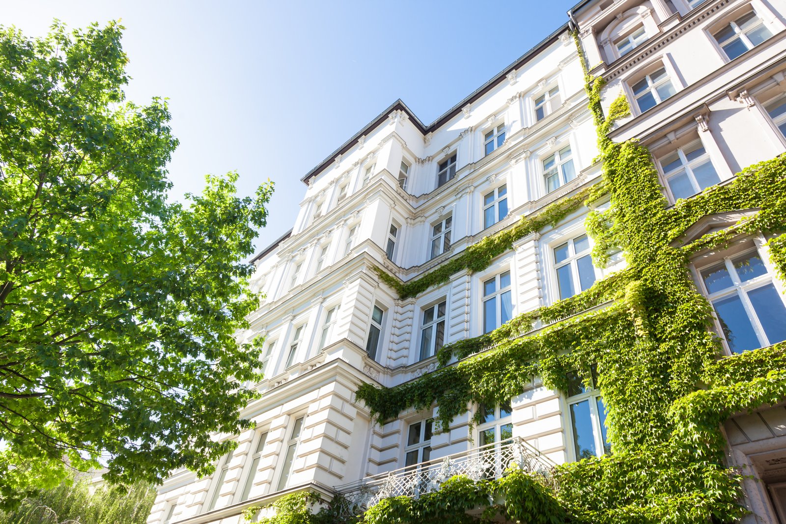 Klassische Altbau-Fassade mit Begrünung — Potenzial erkennen
